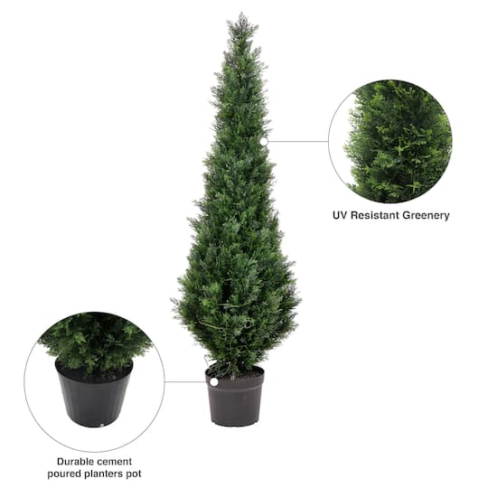 6ft. Potted Cedar Tree
